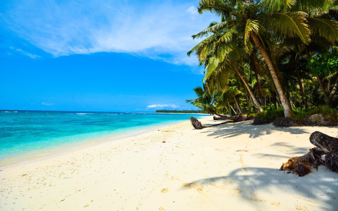 Pacific Island States address the International court of Justice demanding  decisive climate action