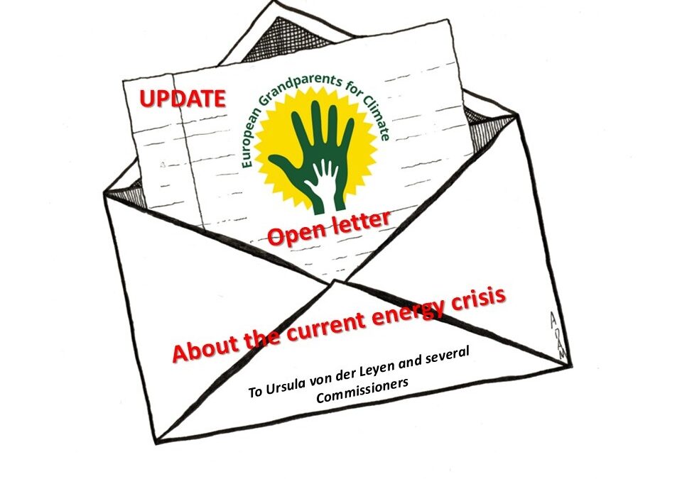 Answer from the European Commission to our letter on Windfall profits